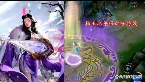 杨玉环年限爆料视频,年限爆料视频背后的历史真相